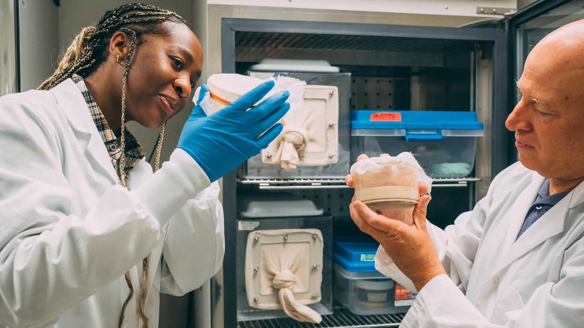 Wasserberg Awarded $3.7M for Sand Fly Research to Combat Parasitic Disease